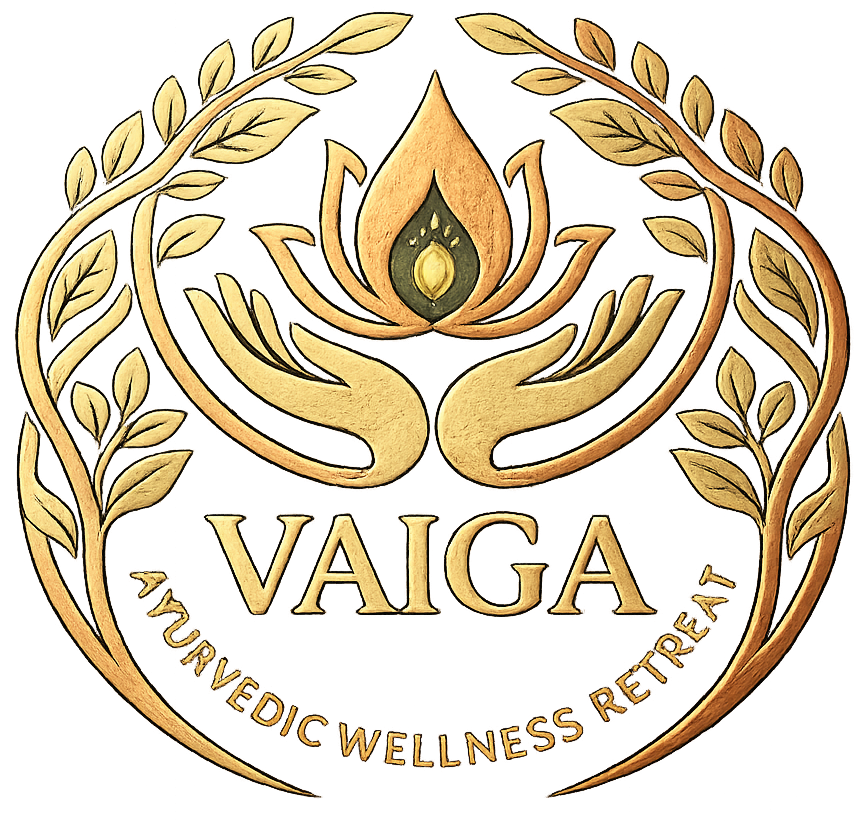 Vaiga Logo